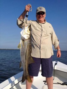 Boca Grande snook fishing