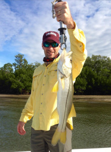 backwater snook