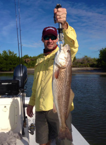 Charlotte Harbor redfish