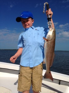 Florida redfish