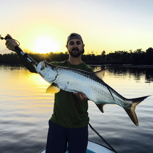 Everglades Tarpon