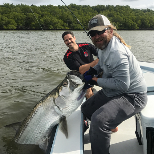 Everglades tarpon