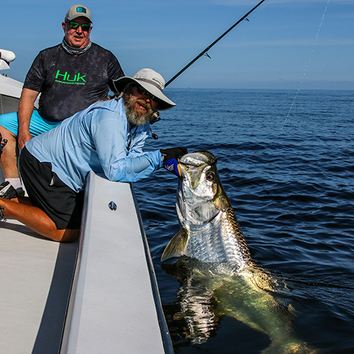 Tarpon fishing with Captain Mark Bennett
